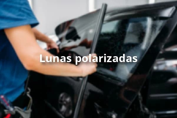 Lunas polarizadas